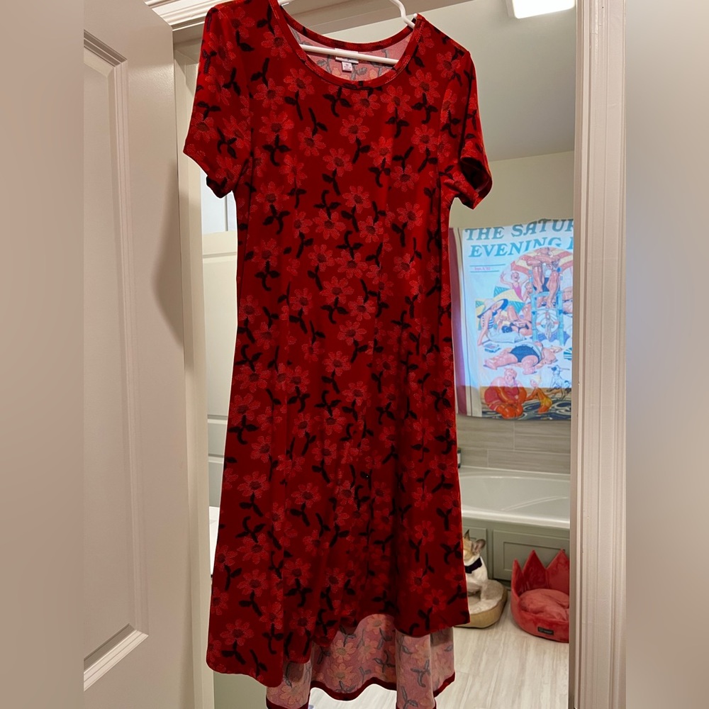 Lularoe Dress new never worn no rips, stains.